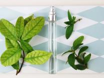 Spray hydroalcoolique pour les mains