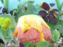 Je crée mon éruption volcanique