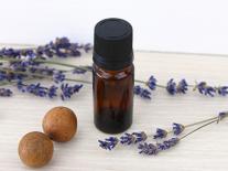 Synergie Zen attitude