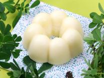 Shampooing solide à l'huile de Moringa