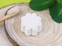 Dentifrice naturel solide 