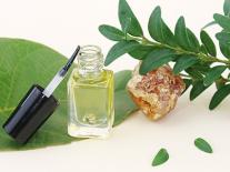 Soin des ongles & cuticules réparateur à l’huile précieuse de Cacay