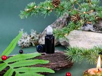 Roll-on aux huiles essentielles 