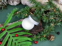 Baume à lèvres Nourrissant au beurre végétal de Kokum