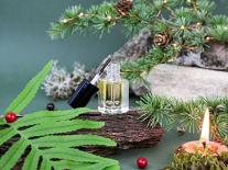 Huile soin des ongles abîmés