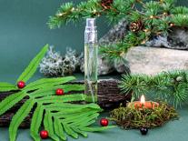 Spray d'ambiance aux huiles essentielles 