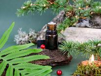 Composition à diffuser d'huiles essentielles 