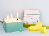 Recette Bougie parfumée « Lemongrass & Ananas »