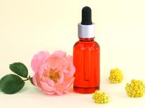 Elixir de nuit jeunesse Rose Musquée & Hélichryse