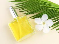 Huile sèche protectrice pour les cheveux