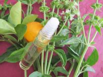 Roll-on points énergétiques 