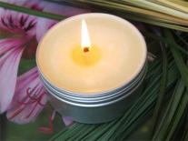 Bougie tranquillité anti-pique au Géranium