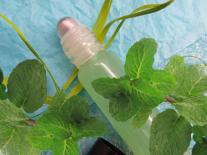 Gel yeux rafraîchissant anti-fatigue