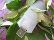 Gel nettoyant exfoliant au Bourgeon de Hêtre