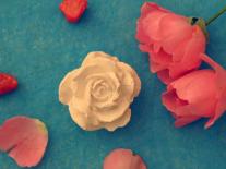 Composition parfumée à diffuser La Reine des Fleurs