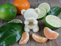 Chocolat blanc aux huiles essentielles