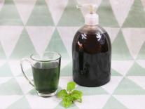 Sirop de Menthe maison