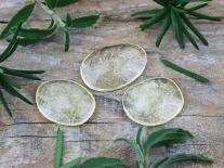 Bonbons pour l'Hiver tea tree & Menthe poivrée