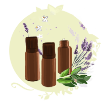 Tout savoir sur la diffusion des huiles essentielles