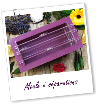 Moule en silicone à séparations Aroma-Zone
