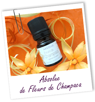 Absolue Champaca fleurs Aroma-Zone