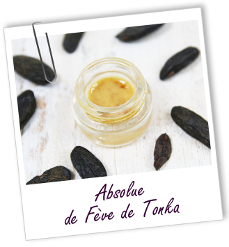 Absolue Tonka fèves Aroma-Zone