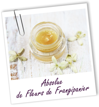 Absolue Frangipanier fleurs Aroma-Zone
