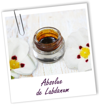 Absolue Labdanum Aroma-Zone