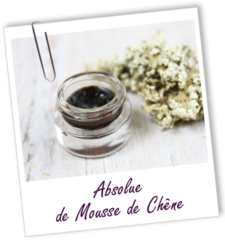 Absolue Mousse de Chêne Aroma-Zone Absolue Mousse de Chêne Aroma-Zone