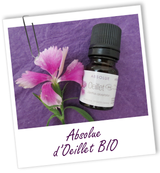 Absolue Oeillet BIO Aroma-Zone
