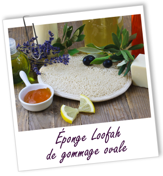 Eponge loofah de gommage ovale Aroma-Zone Eponge loofah de gommage ovale Aroma-Zone