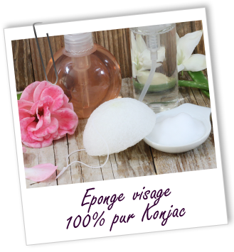 Eponge visage 100% pur Konjac Aroma-Zone Eponge visage 100% pur Konjac Aroma-Zone
