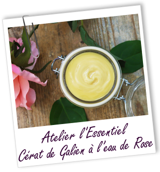 Atelier l'Essentiel - Cérat de Galien à l'eau de Rose - Aroma-Zone Atelier l'Essentiel - Cérat de Galien à l'eau de Rose - Aroma-Zone