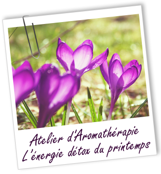 Atelier d'Aromathérapie familiale - L'ENERGIE DU PRINTEMPS - Aroma-Zone