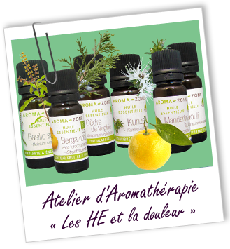 Atelier d'Aromathérapie familiale - LES HUILES ESSENTIELLES ET LA DOULEUR - Aroma-Zone