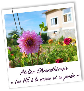 Atelier d'Aromathérapie familiale - LES HUILES ESSENTIELLES A LA MAISON ET AU JARDIN - Aroma-Zone
