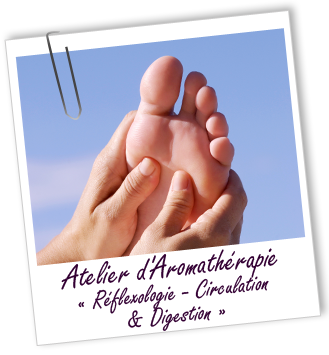 ATELIER RÉFLEXOLOGIE - CIRCULATION & DIGESTION - Aroma-Zone ATELIER RÉFLEXOLOGIE - CIRCULATION & DIGESTION - Aroma-Zone