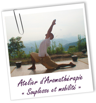 Atelier d'Aromathérapie familiale - SOUPLESSE ET MOBILITÉ Aroma-Zone