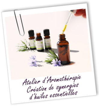 Atelier d'Aromathérapie familiale - Création de synergies d'huiles essentielles - Aroma-Zone