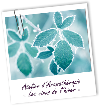Atelier Aromathérapie - Les virus de l'hiver - Aroma-Zone