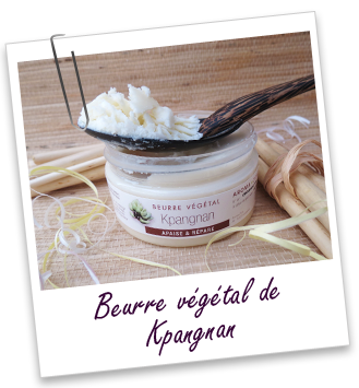 Beurre végétal Kpangnan (sauvage) Aroma-Zone