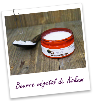 Beurre végétal Kokum (sauvage) Aroma-Zone