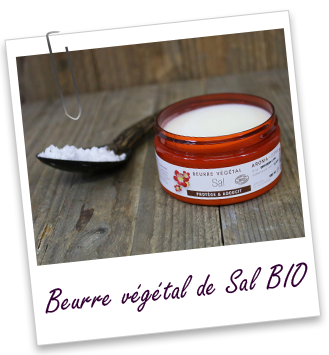 Beurre végétal Sal BIO Aroma-Zone Beurre végétal Sal BIO Aroma-Zone
