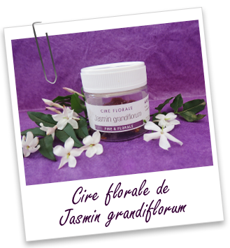 Cire florale Jasmin grandiflorum Aroma-Zone
