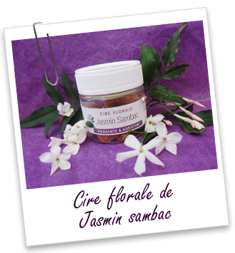 Cire florale Jasmin sambac Aroma-Zone Cire florale Jasmin sambac Aroma-Zone