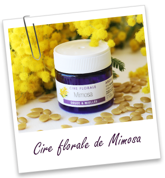 Cire florale Mimosa Aroma-Zone Cire florale Mimosa Aroma-Zone