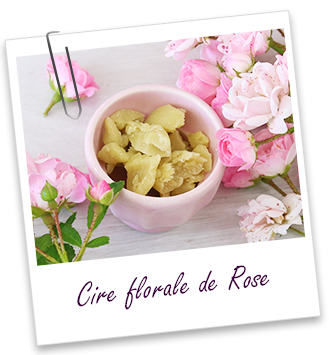 Cire florale Rose Aroma-Zone