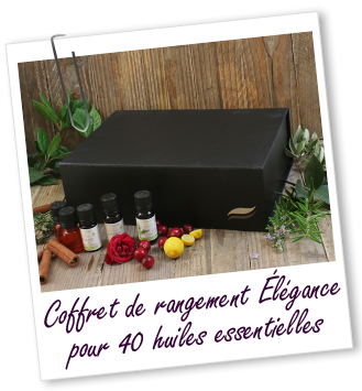 Coffret de rangement Elégance pour 40 huiles essentielles Aroma-Zone Coffret de rangement Elégance pour 40 huiles essentielles Aroma-Zone