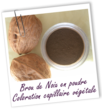 Coloration & Soin capillaire Brou de noix Aroma-Zone Coloration & Soin capillaire Brou de noix Aroma-Zone