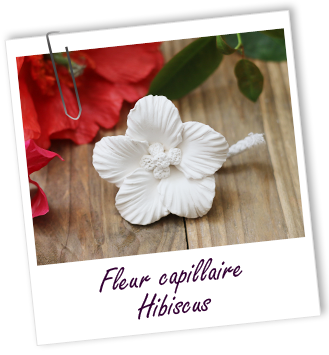Fleur capillaire Hibiscus Aroma-Zone Fleur capillaire Hibiscus Aroma-Zone